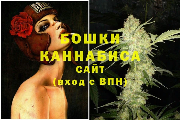 шишки Нязепетровск