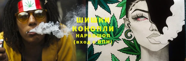 шишки Нязепетровск