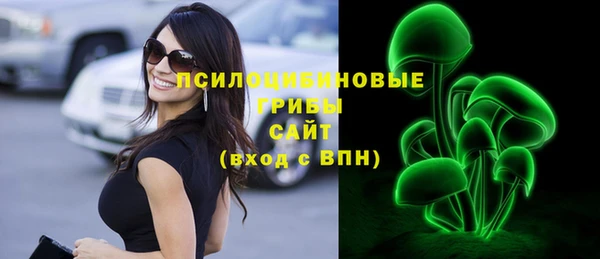 шишки Нязепетровск
