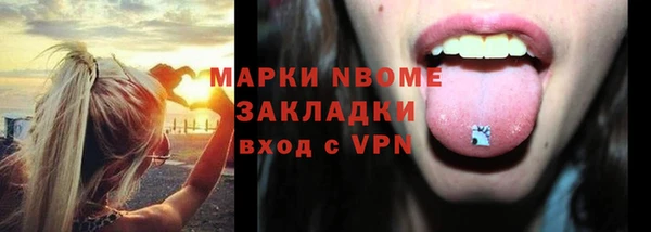 шишки Нязепетровск