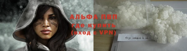 амф Анива