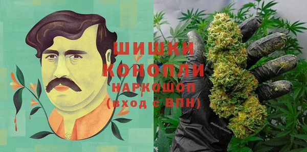 шишки Нязепетровск