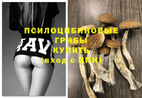 шишки Нязепетровск