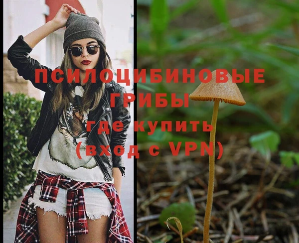 шишки Нязепетровск